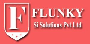 Flunkysisolutions